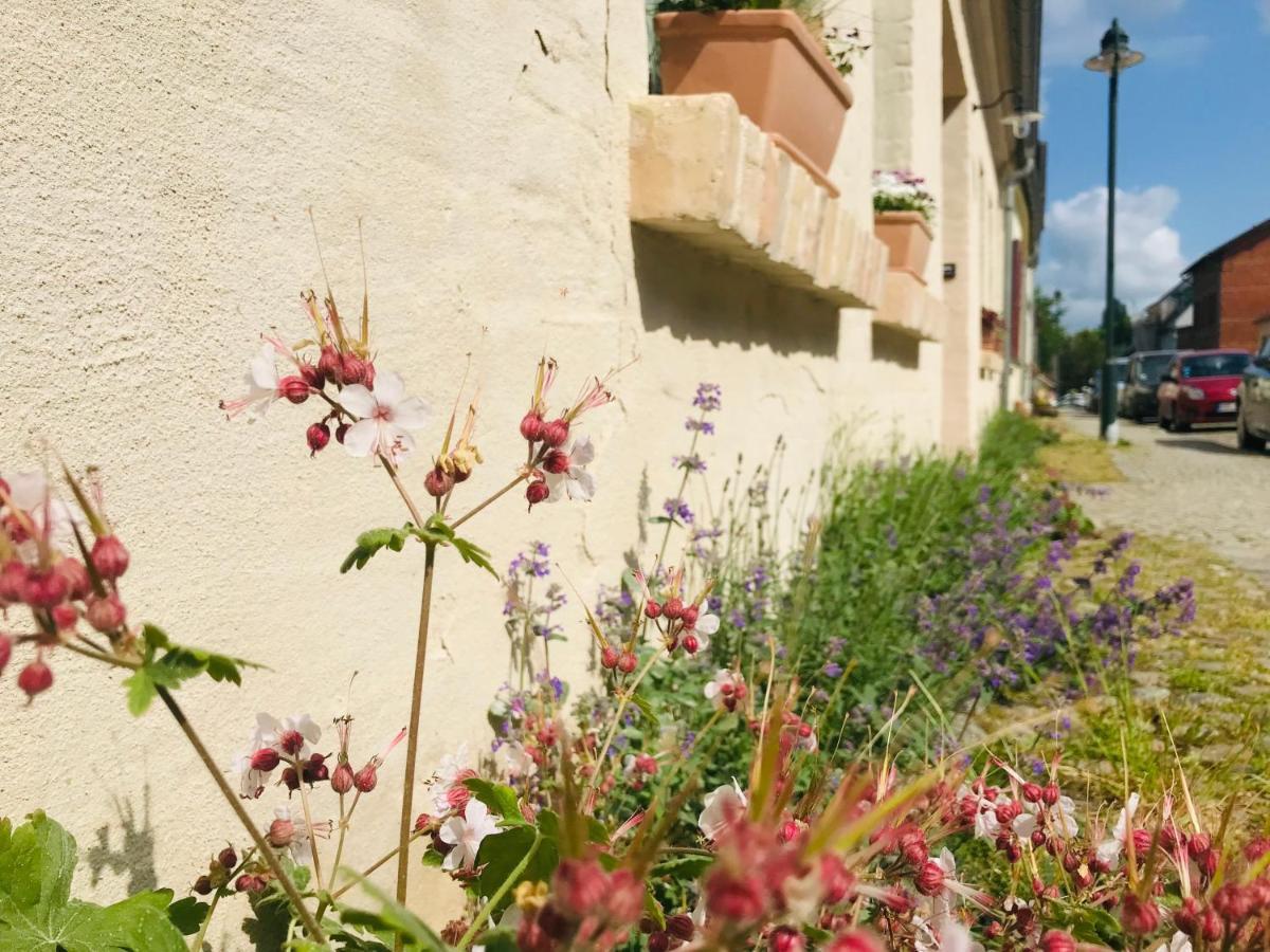 Klein Aber Fein In Der Altstadt Angermunde Buitenkant foto